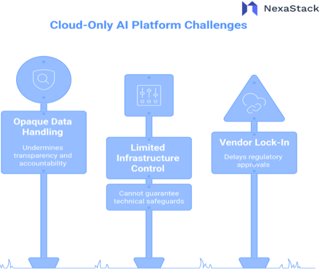 Cloud-Only AI Platform Challenges